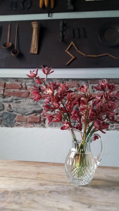Piana Crixia Langhe Di Liguria B&B מראה חיצוני תמונה